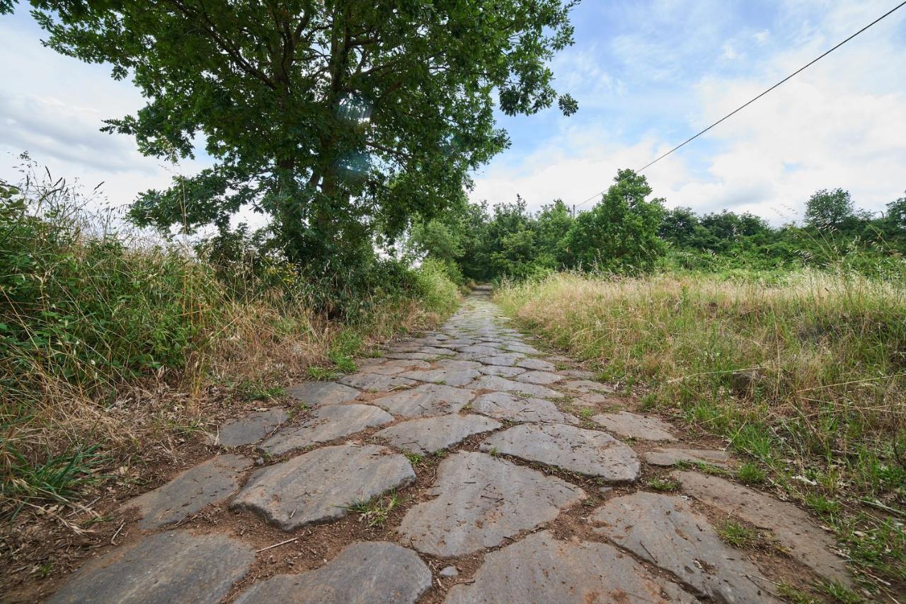 Alloggio Turistico Centro Storico Malatesta Montefiascone Dış mekan fotoğraf