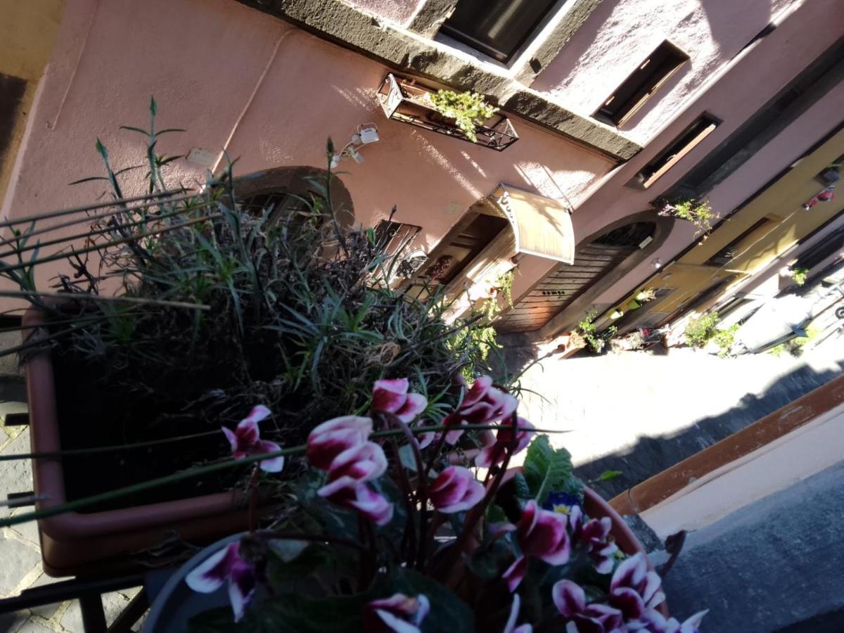Alloggio Turistico Centro Storico Malatesta Montefiascone Dış mekan fotoğraf